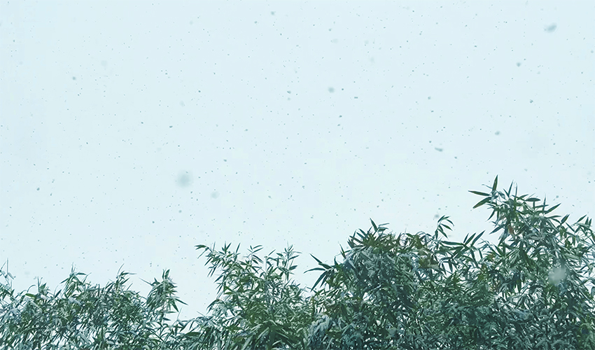 雪天稳产无忧！芭乐视频APP污污污芭乐视频在线观看视频在线播放冬季适配方案 + 专业维护指南